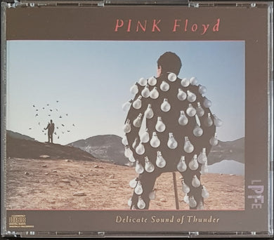 Pink Floyd - Delicate Sound Of Thunder - Fat Box