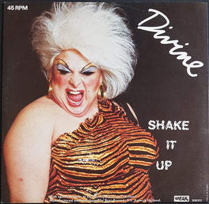 Divine - Shake It Up