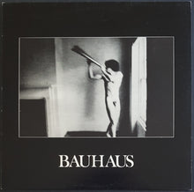 Load image into Gallery viewer, Bauhaus - In The Flat Field