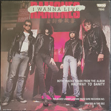 Load image into Gallery viewer, Ramones - I Wanna Live