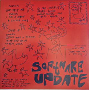 Software Update - Ducks - Random Multi Coloured Vinyl