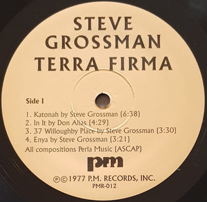 Grossman, Steve - Terra Firma