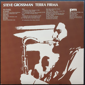 Grossman, Steve - Terra Firma