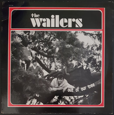 Wailers - Out Of Our Tree