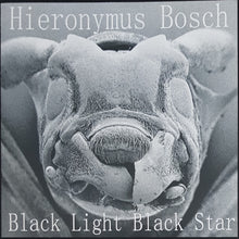 Load image into Gallery viewer, Hieronymus Bosch - Black Light