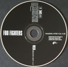 Load image into Gallery viewer, Foo Fighters - Walking After You